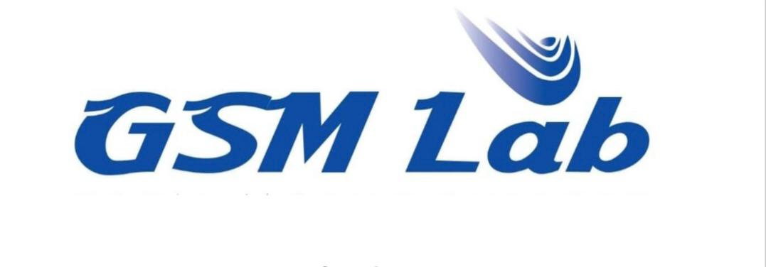 GSM Lab